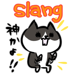 They're cats everyday.japanese slang
