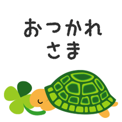 tortoise002