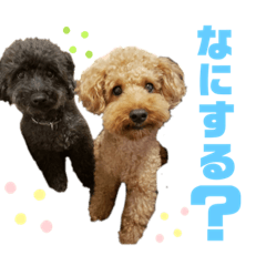 Takumi_20190704002029