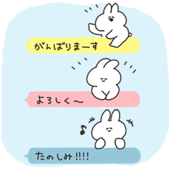 Message and rabbit