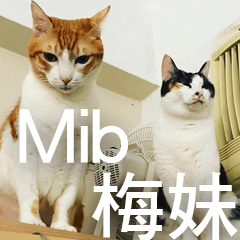 Mib and MeiMei