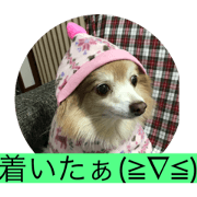 nannchattetakajou_20190704114739