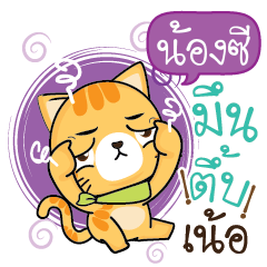 NONGSI Sesa cat_N