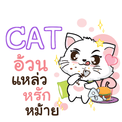 CAT Seenuan cat_S e