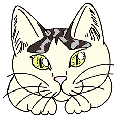 かわいい ちびねこ ちびこ Line スタンプ Line Store