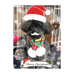 cocoa_20190701123742