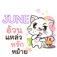 JUNE Seenuan cat_S e