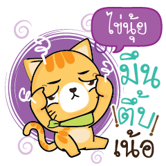 KAINUI Sesa cat_N
