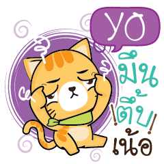 YO Sesa cat_N e