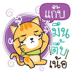 GAB5 Sesa cat_N