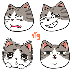 NUTT2 trollcat emoji