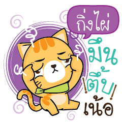 KINGPAI Sesa cat_N