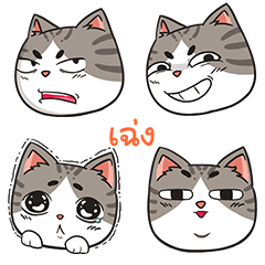 CHENG trollcat emoji