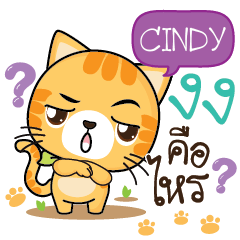 CINDY Sesa cat_S e