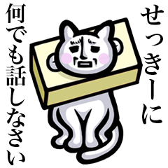 Stray cat!! Sekkiy
