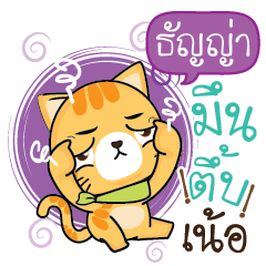 TANYA Sesa cat_N