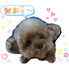 寶貝女兒❤️Meimei⭐️