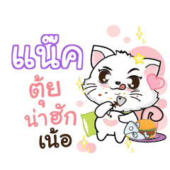 NACK Seenuan cat_N