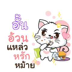 UN3 Seenuan cat_S