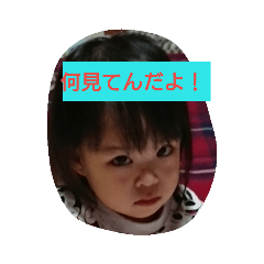 nori_20190701085018