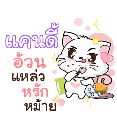 CANDY Seenuan cat_S