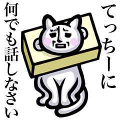 Stray cat!! Tecchiy