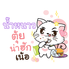 NAMNAO Seenuan cat_N