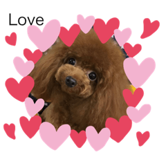 Love.dog.