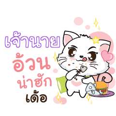 JAONAI Seenuan cat_E