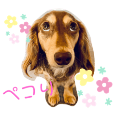 kyon_20190703190240