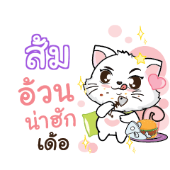 SOM Seenuan cat_E
