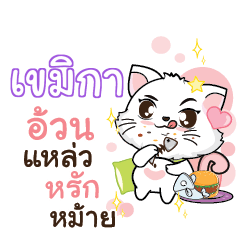 KAMICA Seenuan cat_S