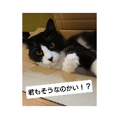 sakai_20190703212845