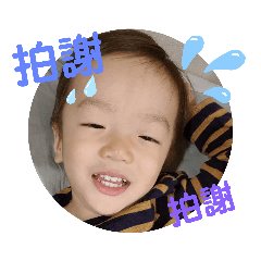 雞豬拼盤1