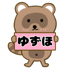 Raccoon3 Yuzuho
