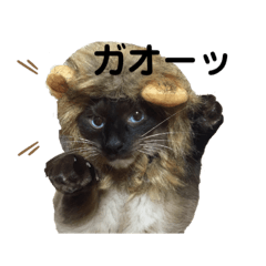 YANO_20190704181830