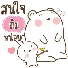 TIM4 Little Rabbit bully Bear