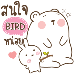 BIRD Little Rabbit bully Bear e
