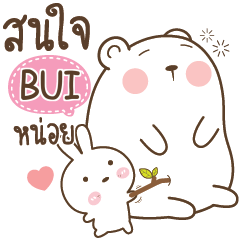 BUI Little Rabbit bully Bear e