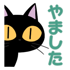 Yamashita&Black cat