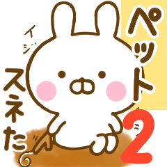 Rabbit Usahina Pet 2