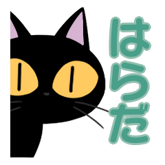 Harada&Black cat