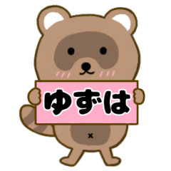 Raccoon3 Yuzuha