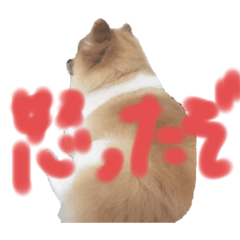 pon_20190704204608