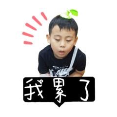 柏宇日常生活