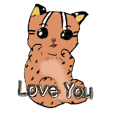 Leo leo leopard cat