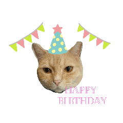 cats mp2