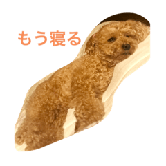 YK_20190704232151