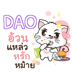 DAO Seenuan cat_S e