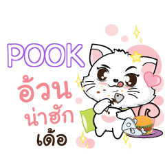 POOK Seenuan cat_E e